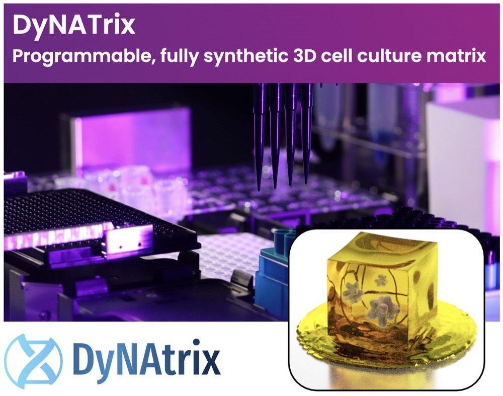 Leibniz Health-Tech Lecture slide for DyNAtrix