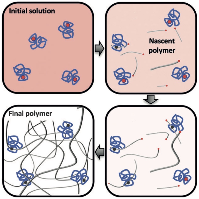 Graphical abstract for nascent polymer catch-and-release isolation of single-stranded DNA