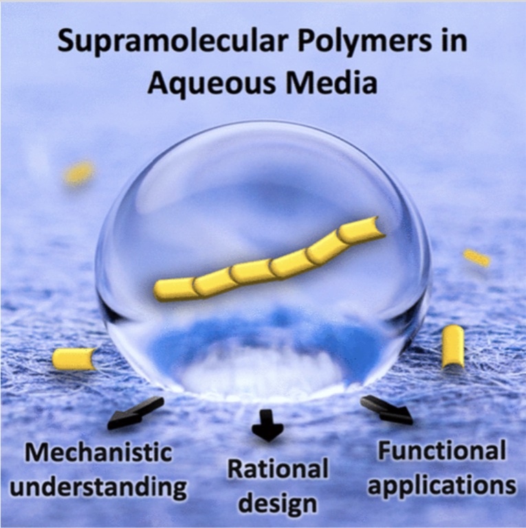 Cover-style graphic for supramolecular polymers in aqueous media