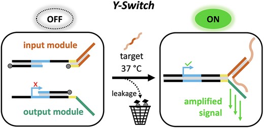 Y-switch graphic showing target-triggered DNA/RNA signal amplification