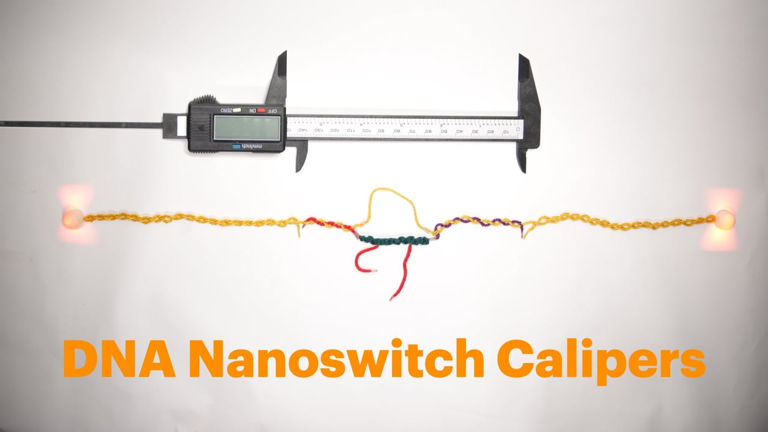 DNA nanoswitch calipers graphic