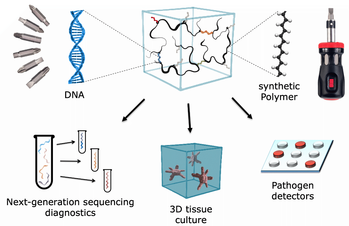 Overview of DNA and synthetic polymer components enabling sequencing diagnostics, 3D tissue culture, and pathogen detectors